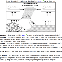 Water cycle worksheet with answers