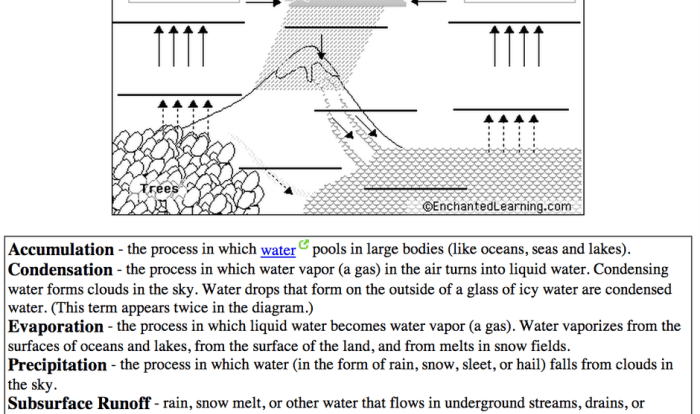 Water cycle worksheet with answers