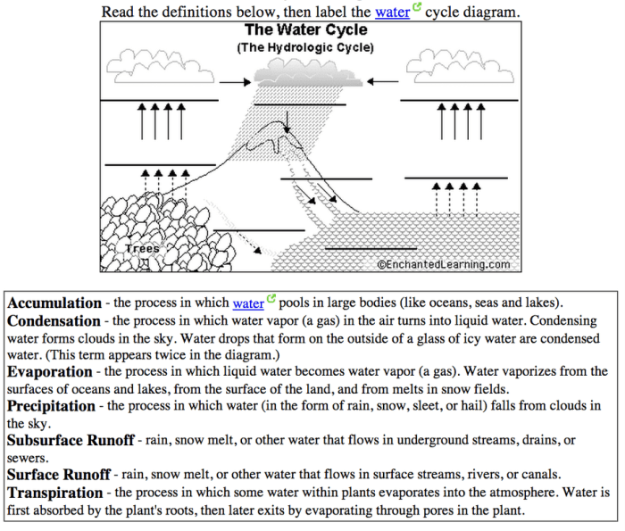 Water cycle worksheet with answers