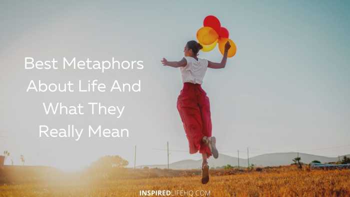 Metaphors in the life of pi