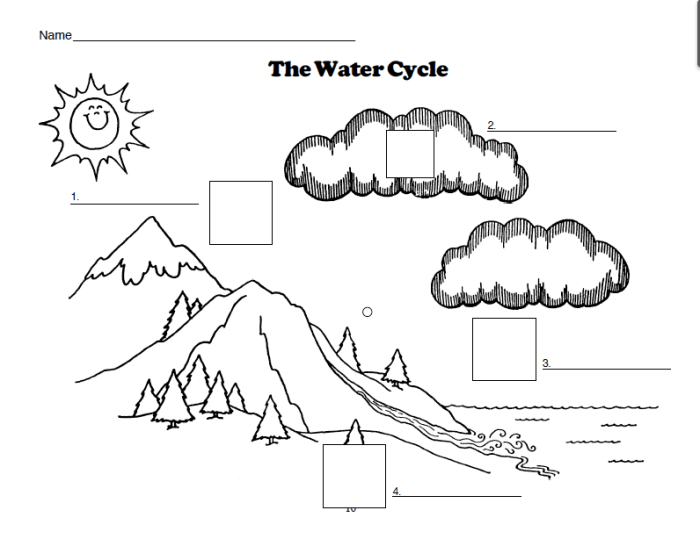 Water cycle worksheet with answers