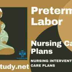 Rn maternal newborn preterm labor