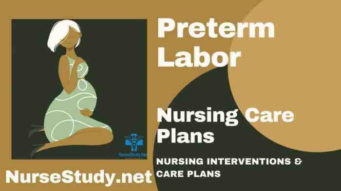 Rn maternal newborn preterm labor