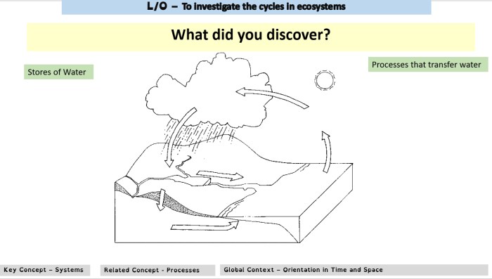 Water cycle worksheet with answers