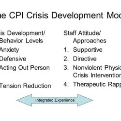 The directive staff approach cpi