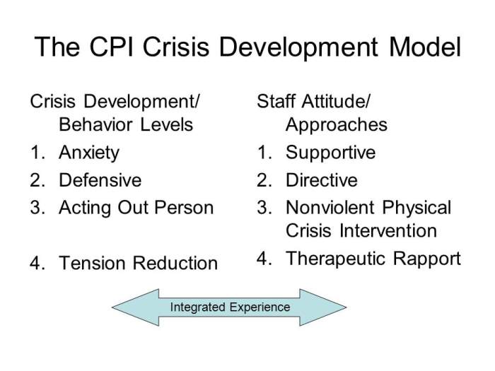 The directive staff approach cpi