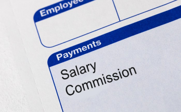 Tamara earns her living as a salary plus commission employee