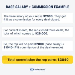 Salesperson salary earns suppose solved possible